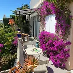 2 Pieces Vue A Pied Villa Le Lavandou