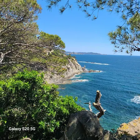 2 Pieces Vue A Pied Le Lavandou